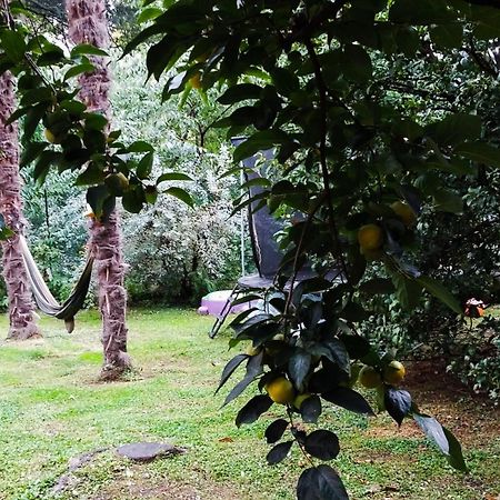 Adda River Casa Vacanza Calolziocorte Dış mekan fotoğraf