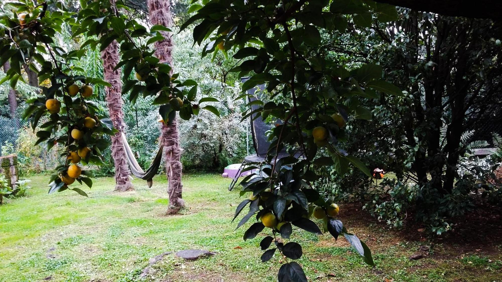 Adda River Casa Vacanza Calolziocorte Dış mekan fotoğraf
