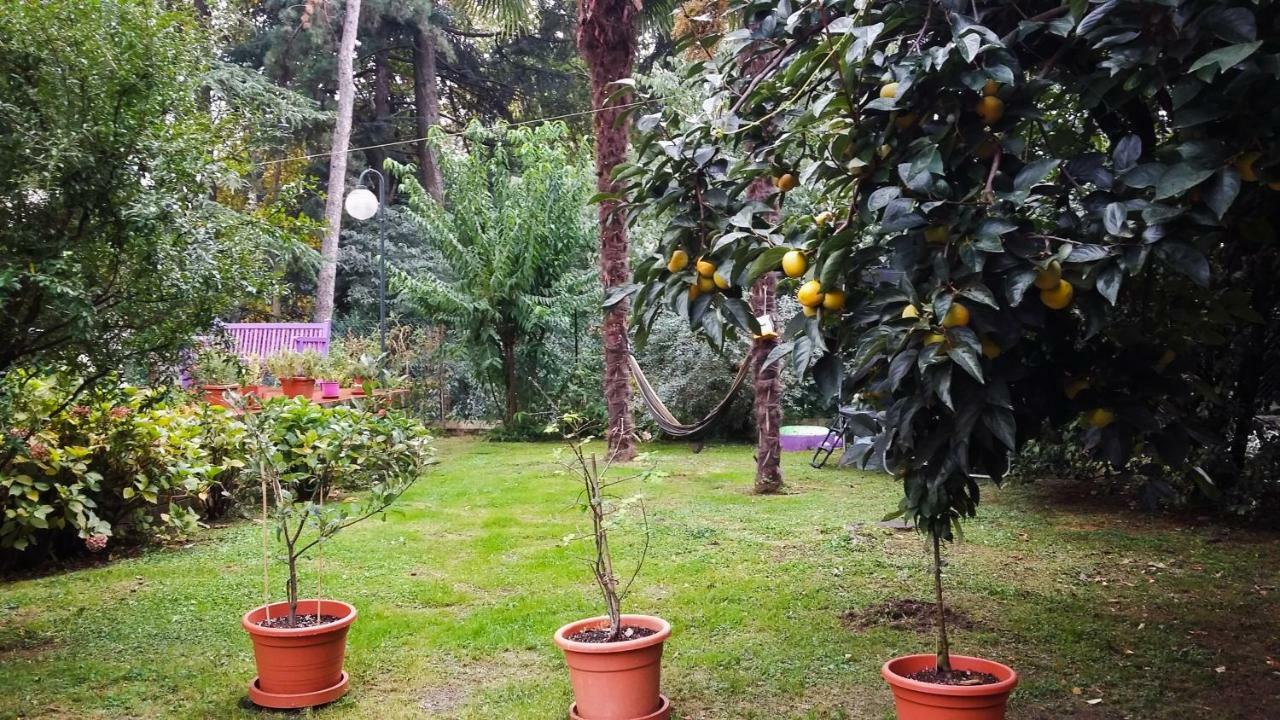 Adda River Casa Vacanza Calolziocorte Dış mekan fotoğraf